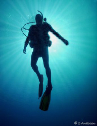 My dive buddy, Doug, ascending after a beautiful dive in ... by Steven Anderson 